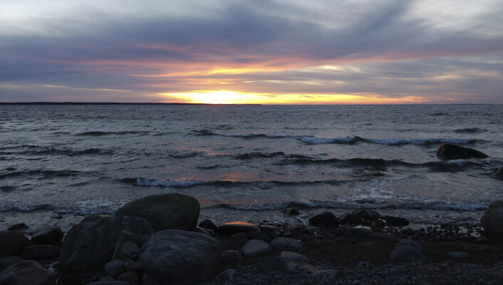 Päikeseloojang 24.03.2020 | Sunset on 24.03.2020